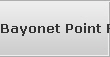 Bayonet Point Raid Data Recovery Services