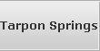 Tarpon Springs Recovery